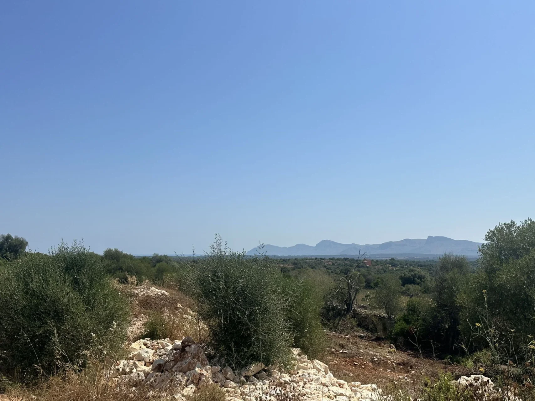 Maja · Santa Margalida