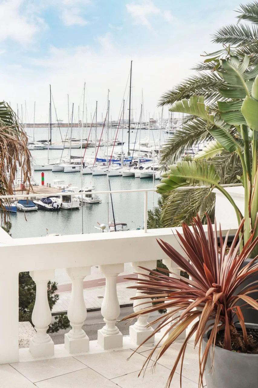 Korter · Palma