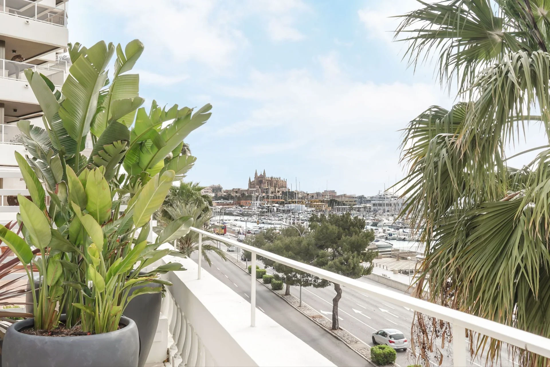 Korter · Palma