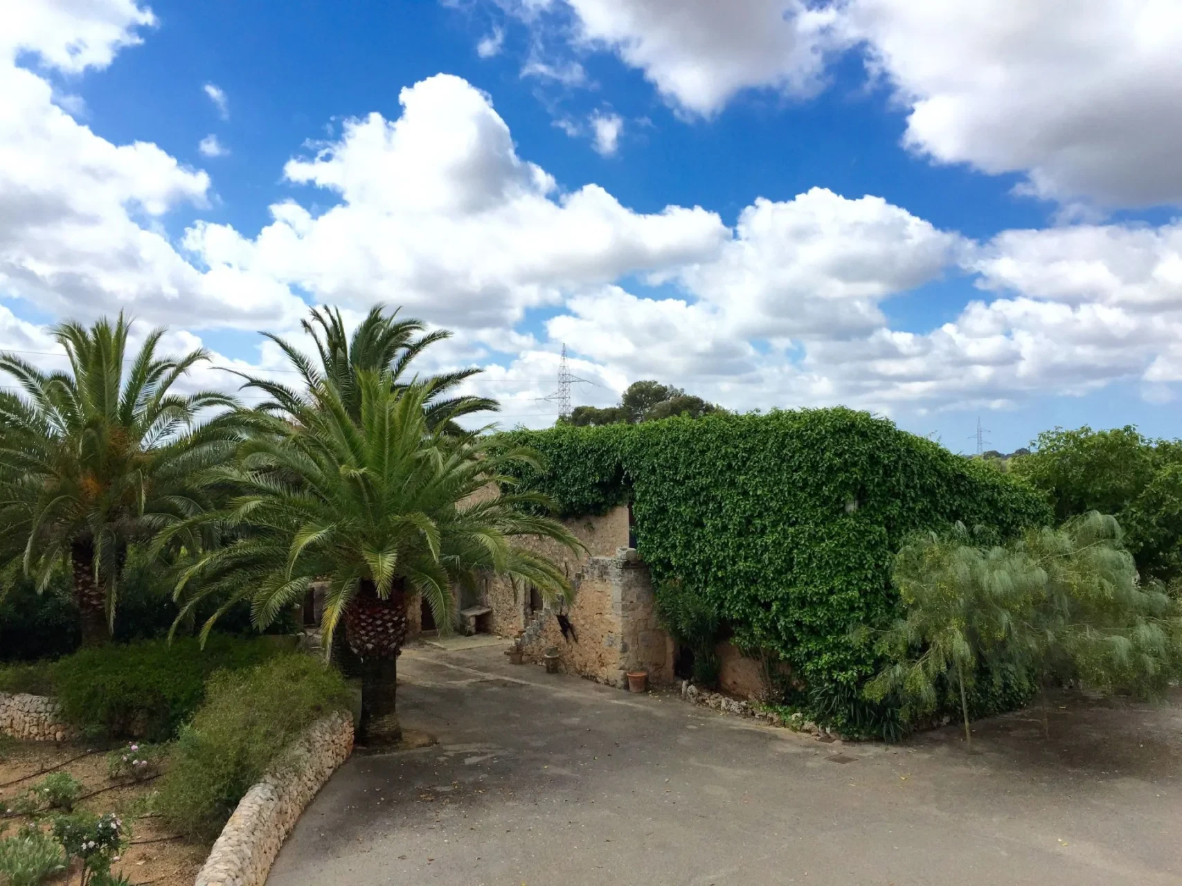 Maja · Algaida