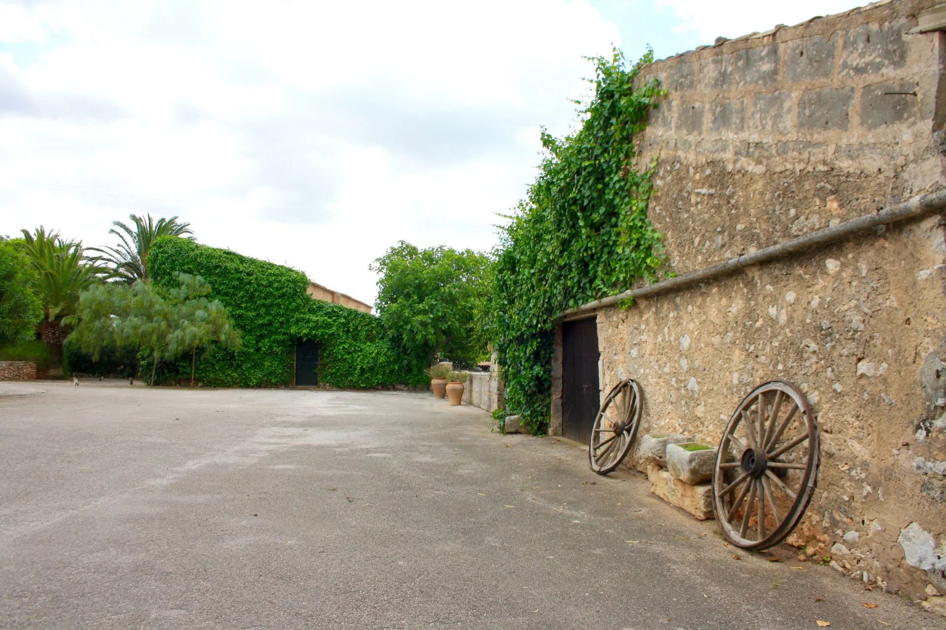 Maja · Algaida