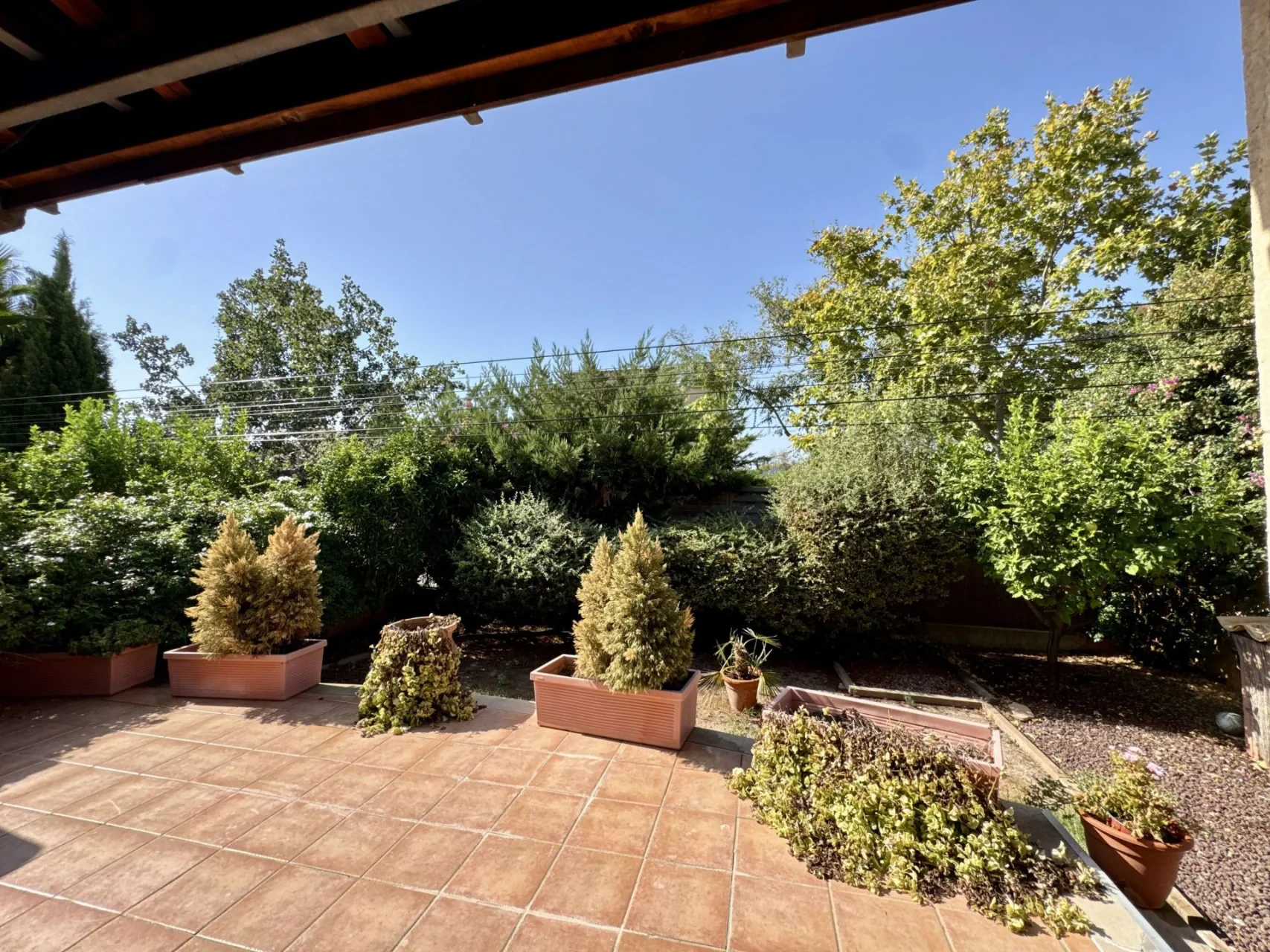 Maja · Calvià