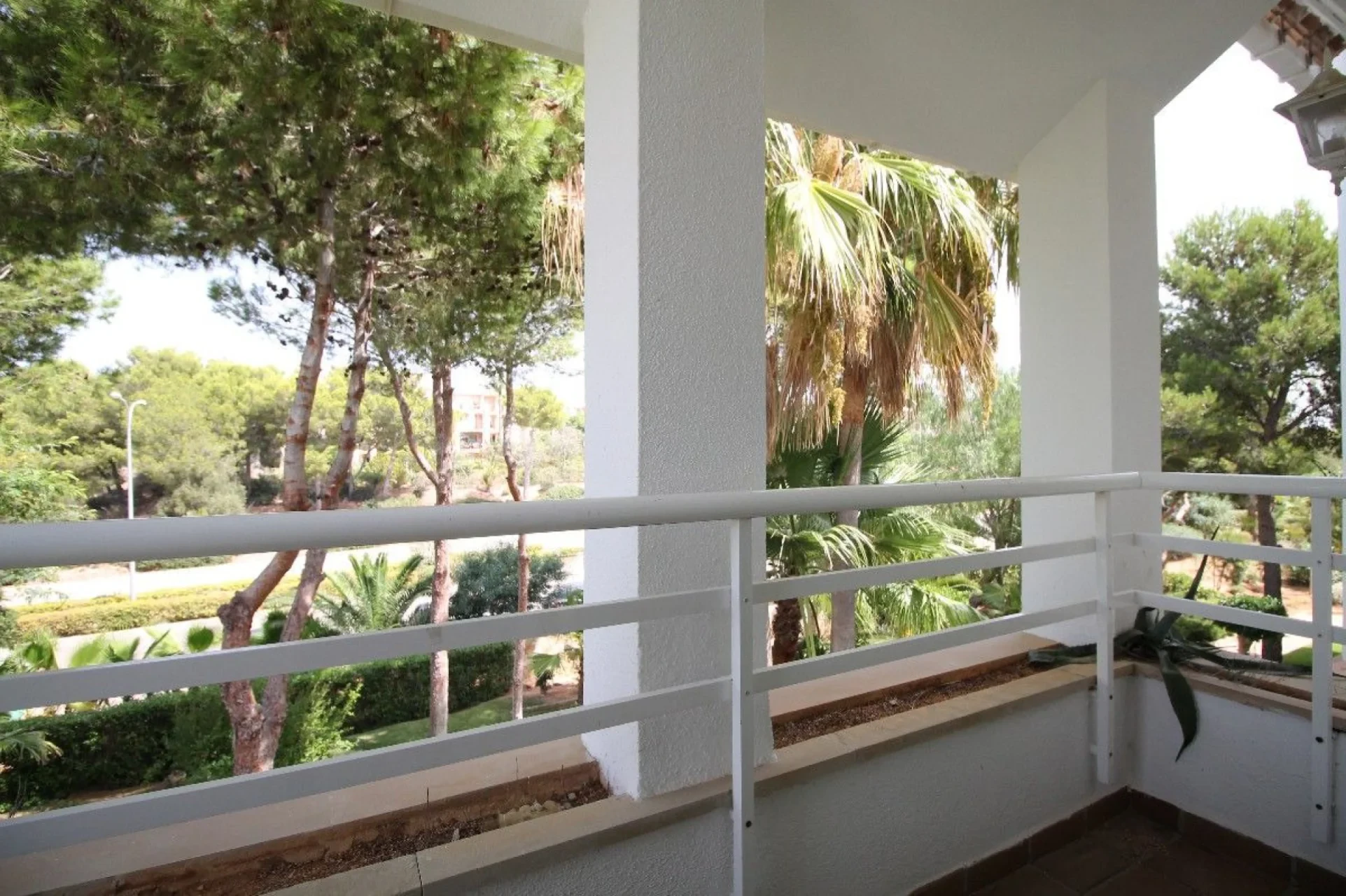 Maja · Santa Ponsa