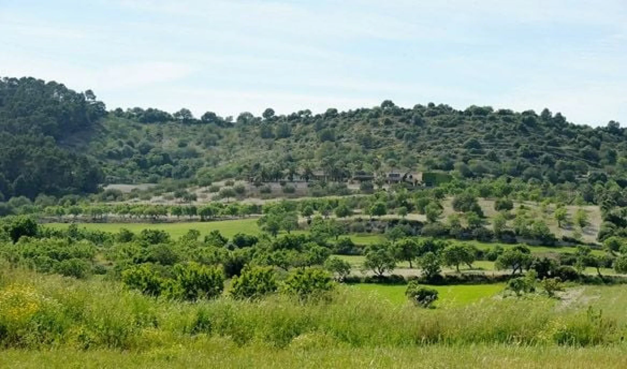 Maa / krunt · Sant Joan