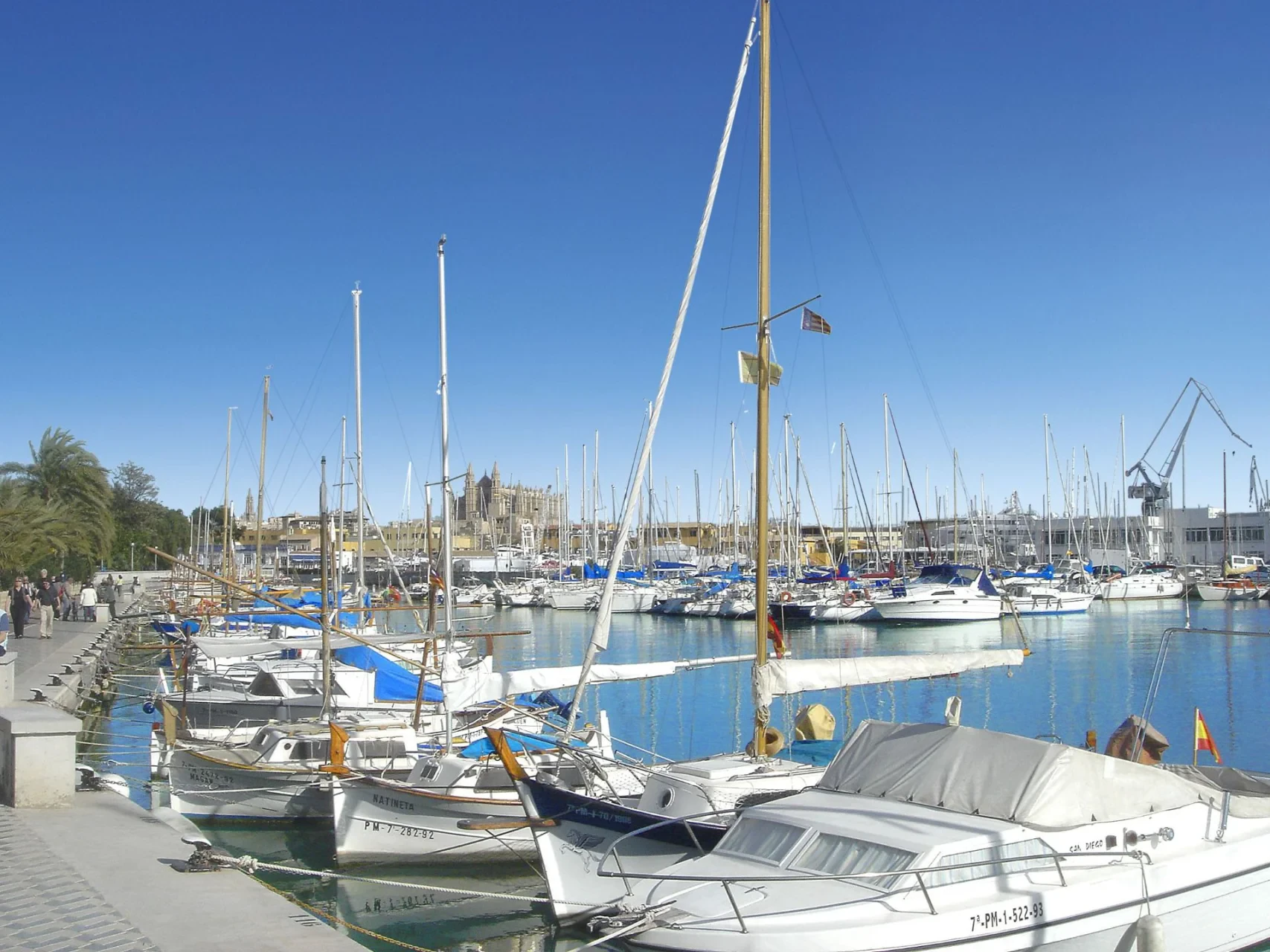 Korter · Palma