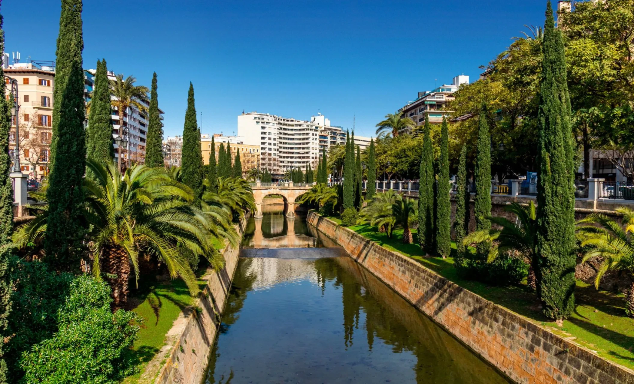 Korter · Palma