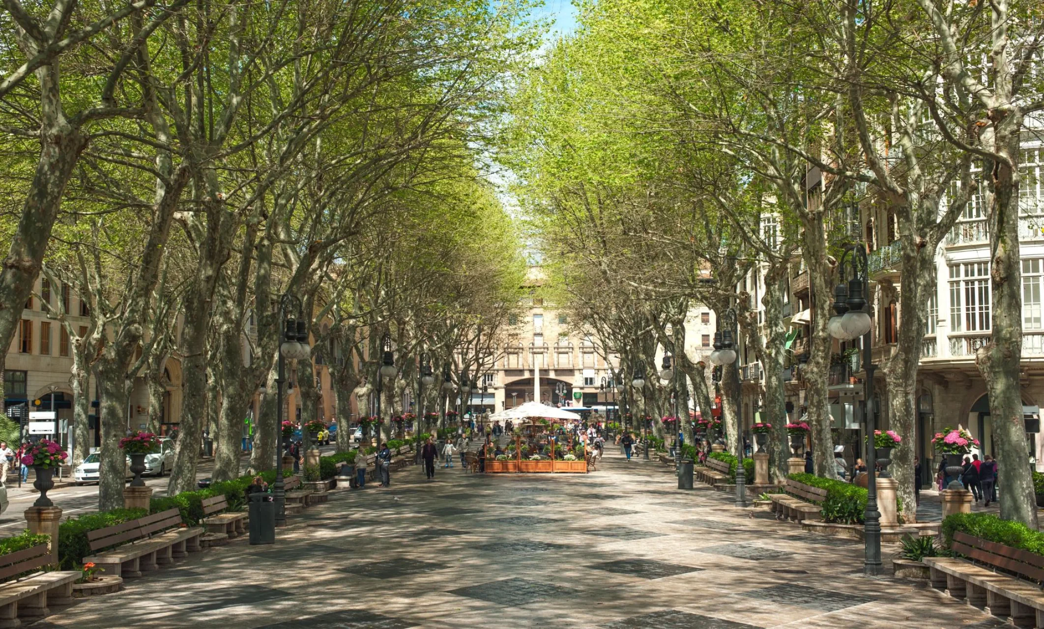Korter · Palma