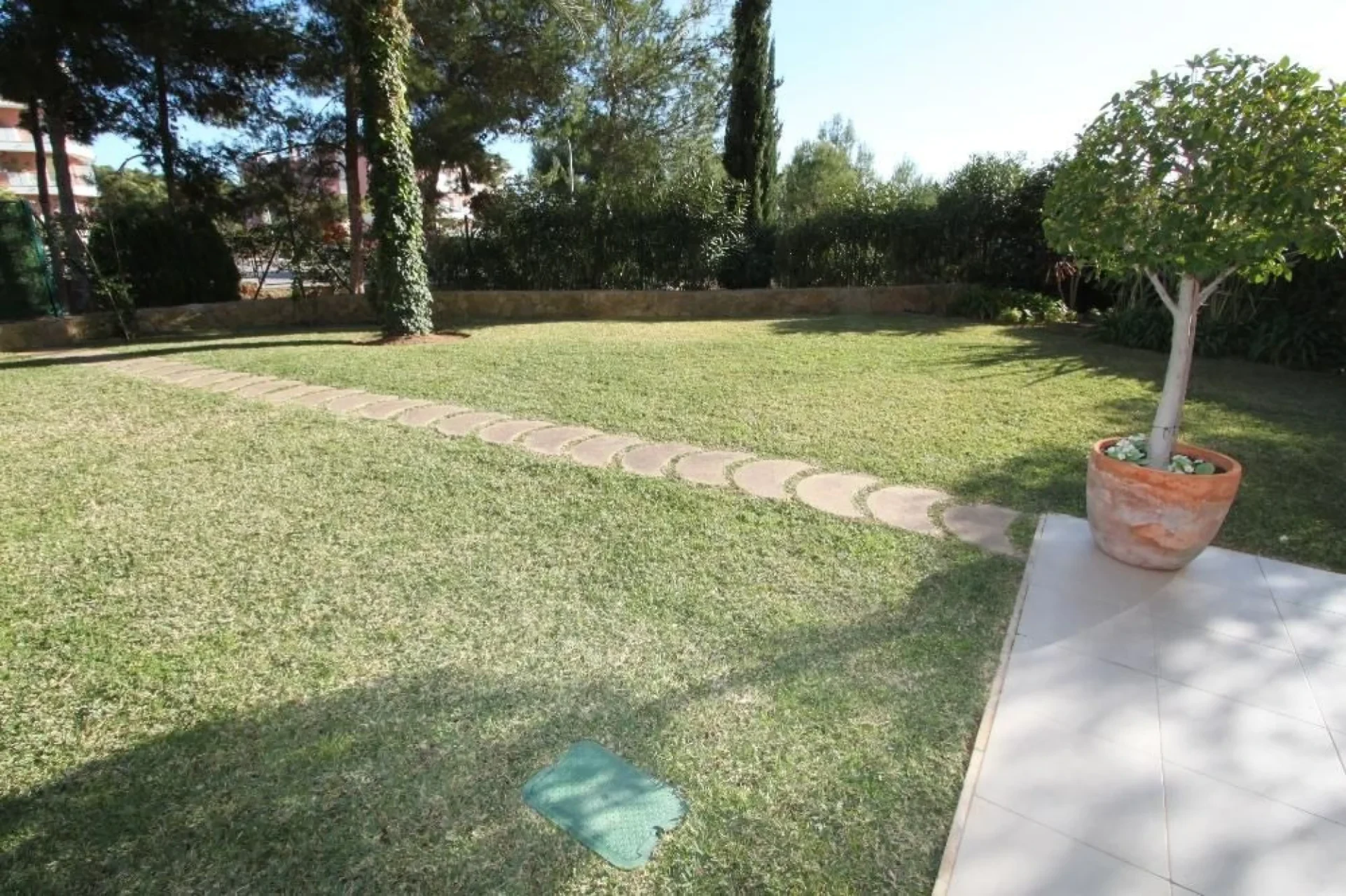 Korter · Sol de Mallorca