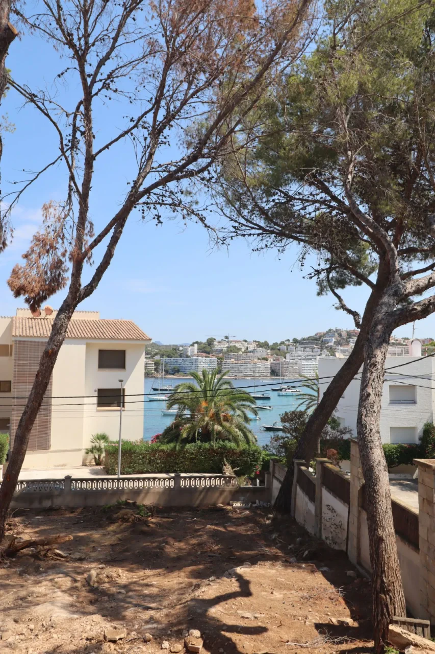 Maja · Santa Ponsa