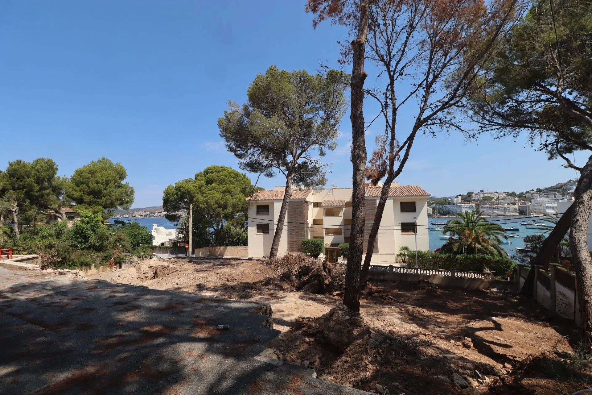 Maja · Santa Ponsa