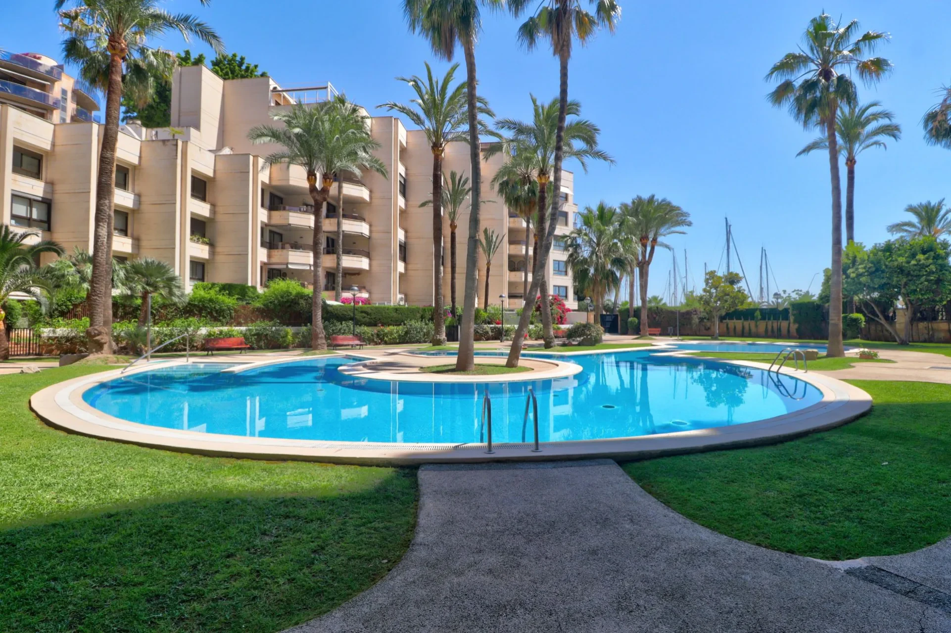 Korter · Palma