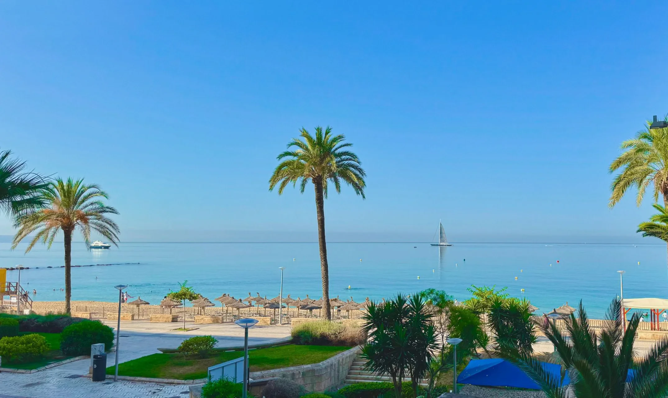 Korter · Palma