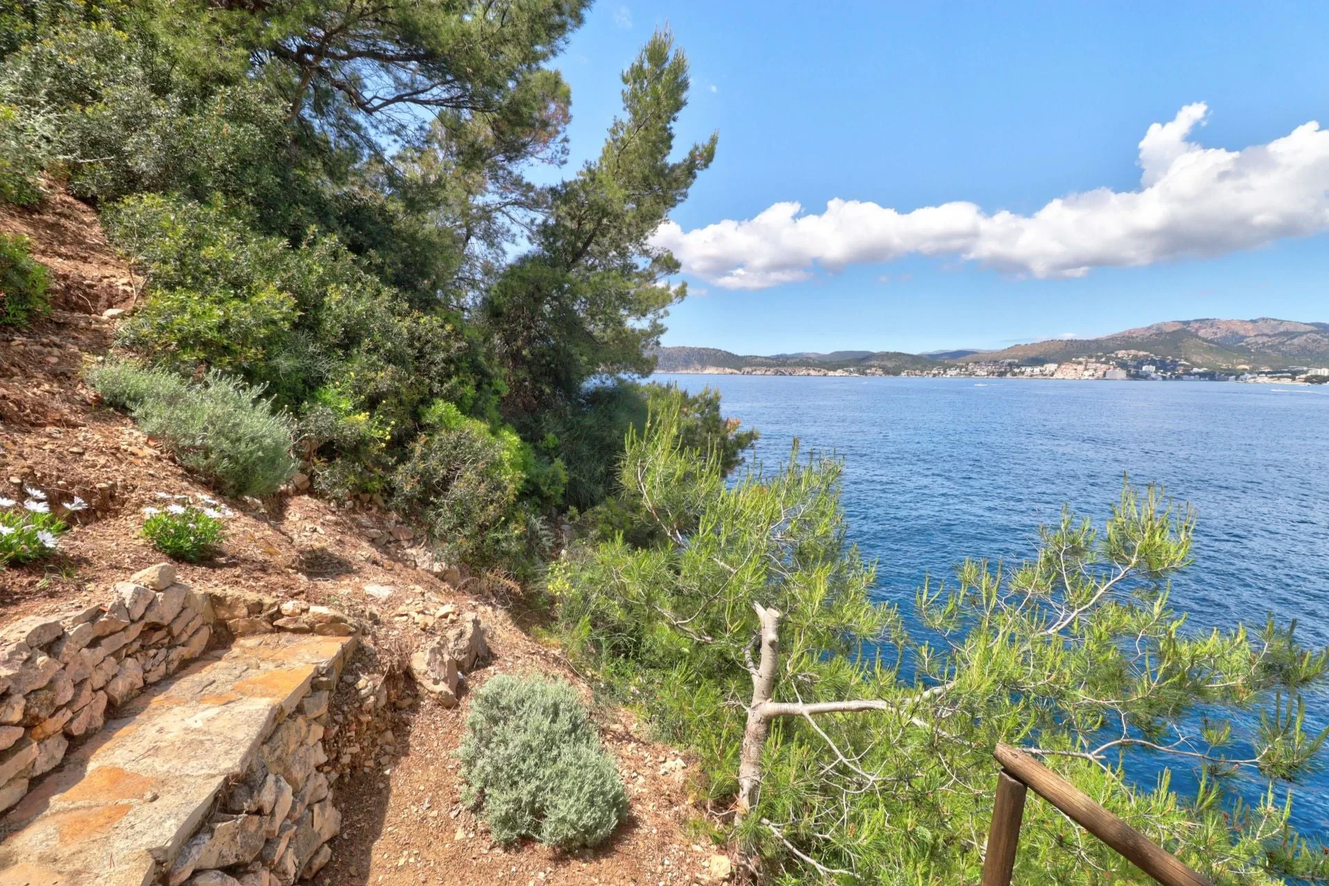 Maja · Santa Ponsa