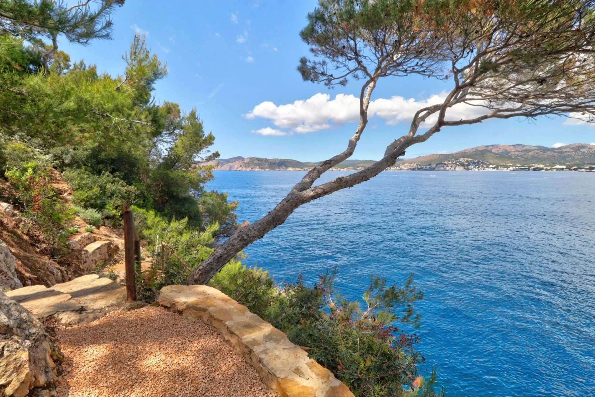 Maja · Santa Ponsa
