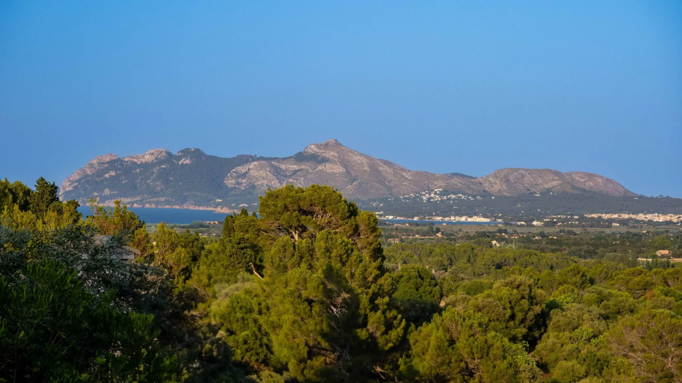 Maja · Pollença