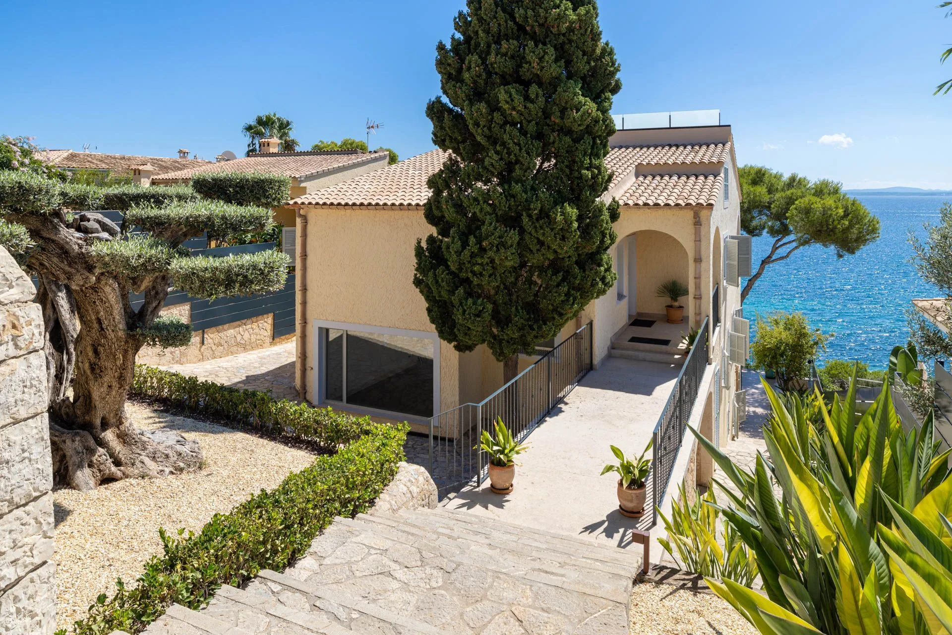 Maja · Alcúdia